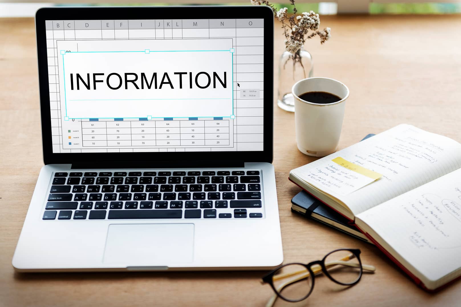 information data goals development scaled